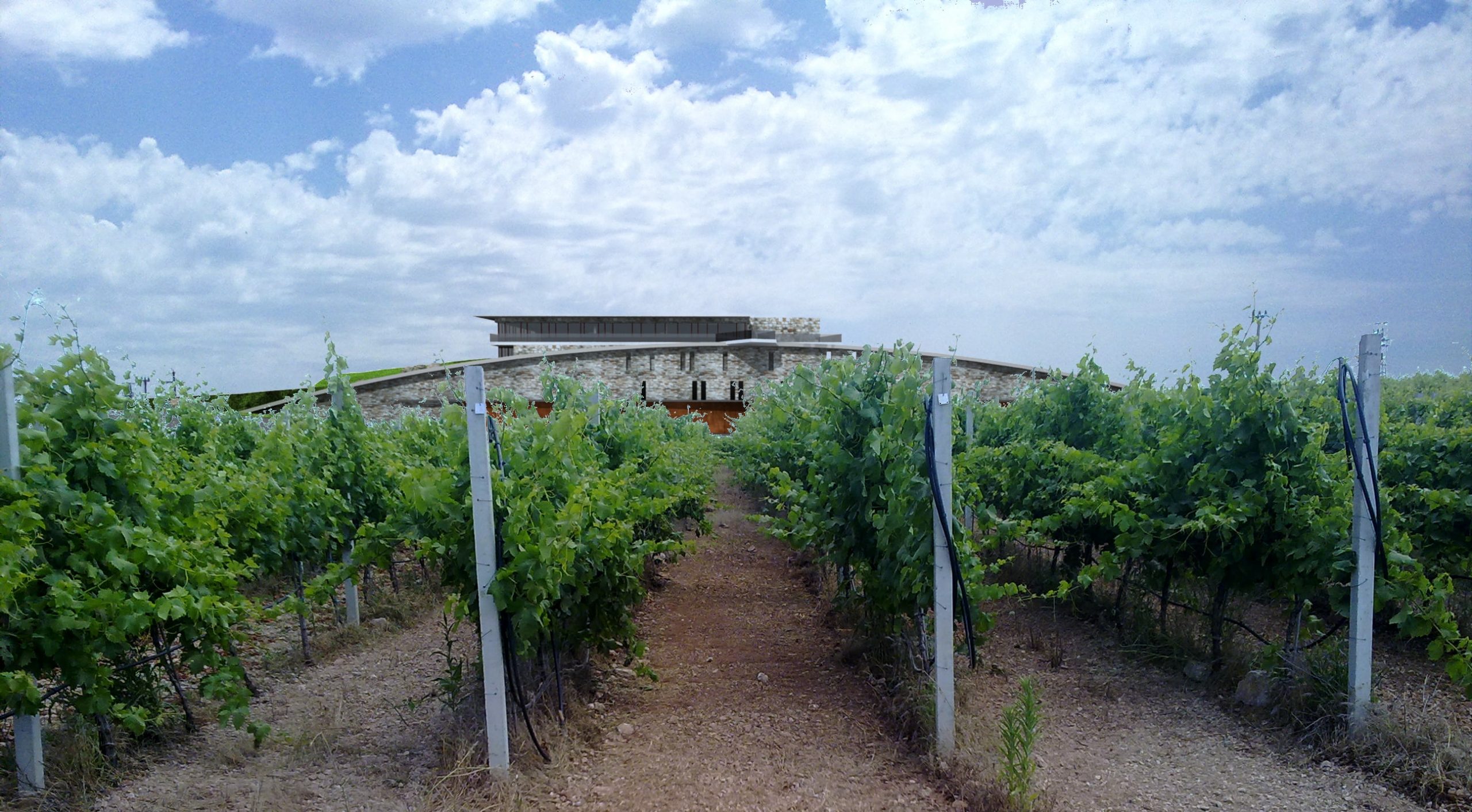 Vinarija