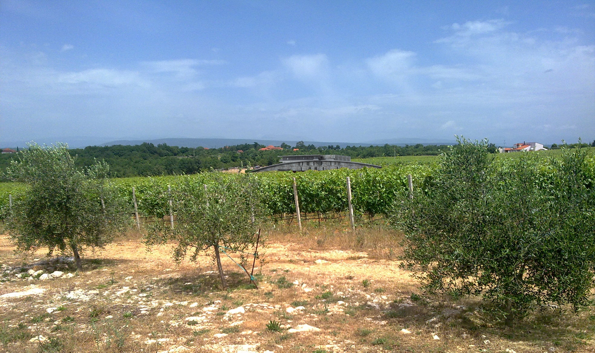 Vinarija